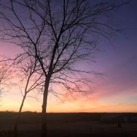 Clear Creek RV Park ico