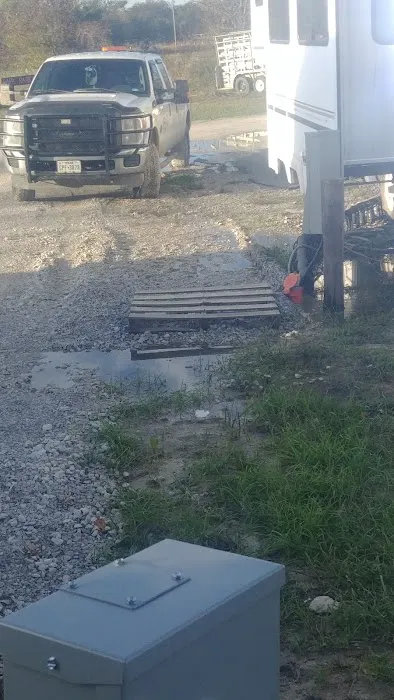 SingleTree RV Picture 4