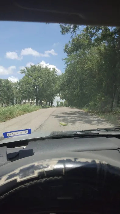 SingleTree RV Picture 3