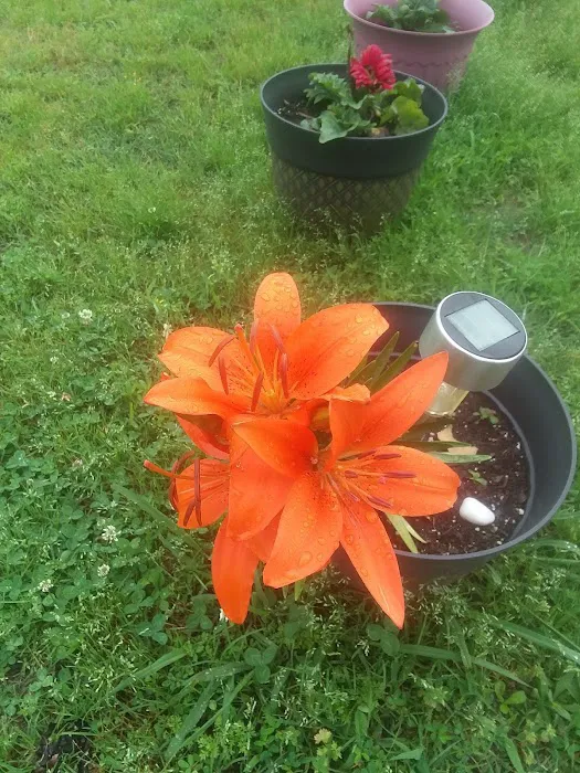 Trail's End RV Retreat Picture 1