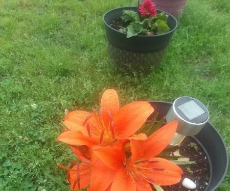 Trail's End RV Retreat