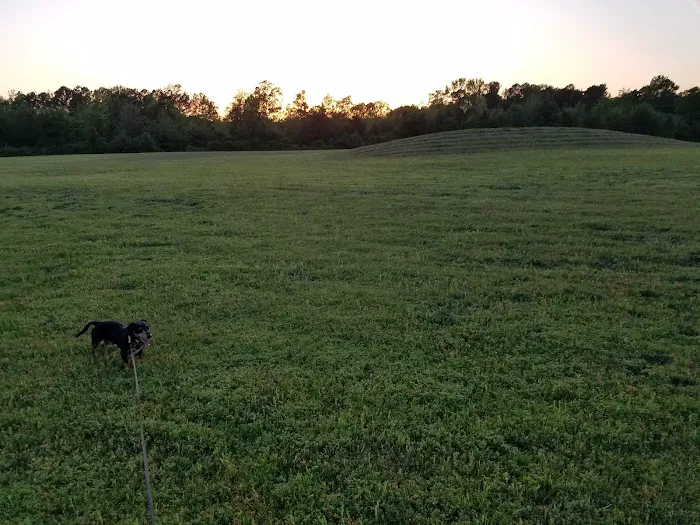 Tall Pines RV Park Picture 6