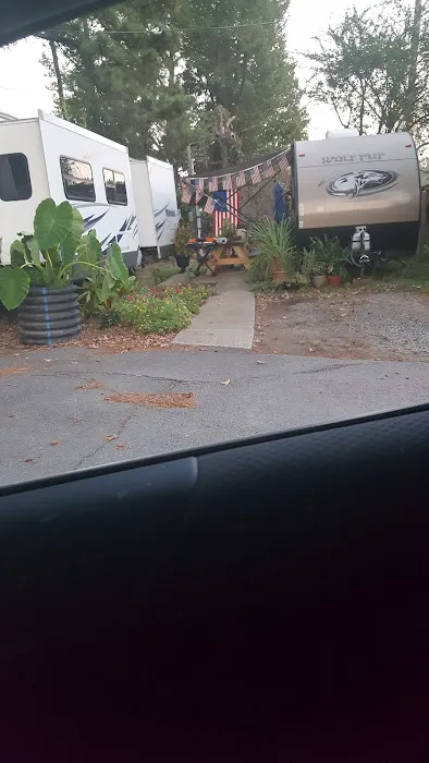 Tall Pines RV Park Picture 4