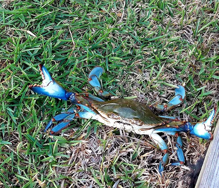 Diamond Dale RV Park Picture 7