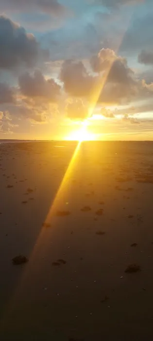 Diamond Dale RV Park Picture 9