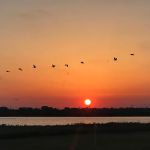 Sargent Beach RV Park