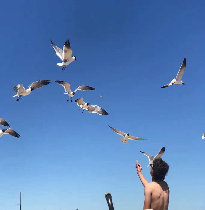 Sargent Beach RV Park Picture 7