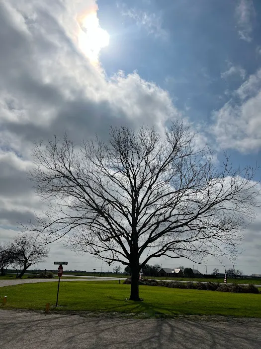 Patriot RV Park - Gonzales Picture 5