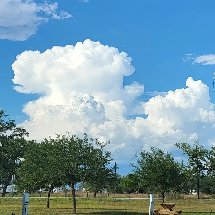 Rollin Inn RV Park Picture 5