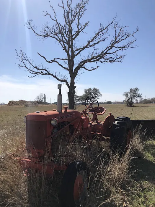 Rollin Inn RV Park Picture 7