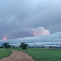 Rollin Inn RV Park ico