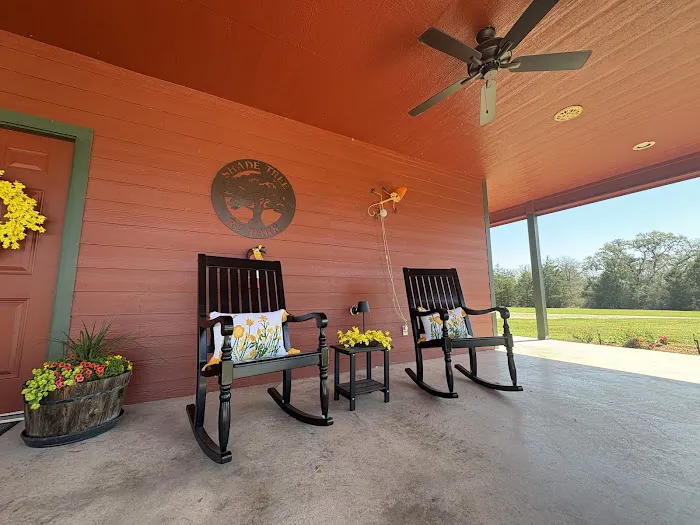 Shade Tree RV Park Picture 7