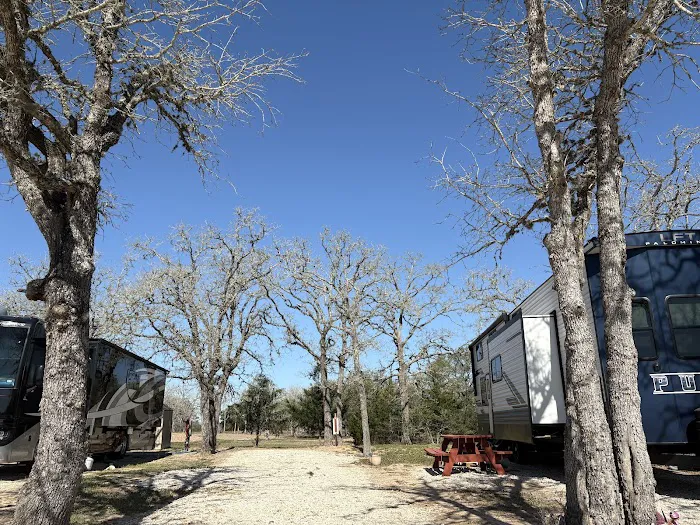 Shade Tree RV Park Picture 5