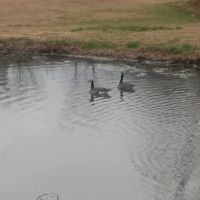 Twin Lakes RV Park ico