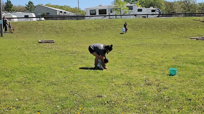 Lake Murray RV Park Picture 5