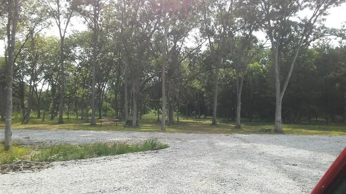 Shady Grove RV Park Picture 3