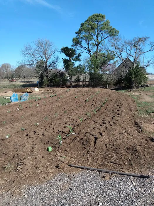 Texoma RV Ranch Picture 8
