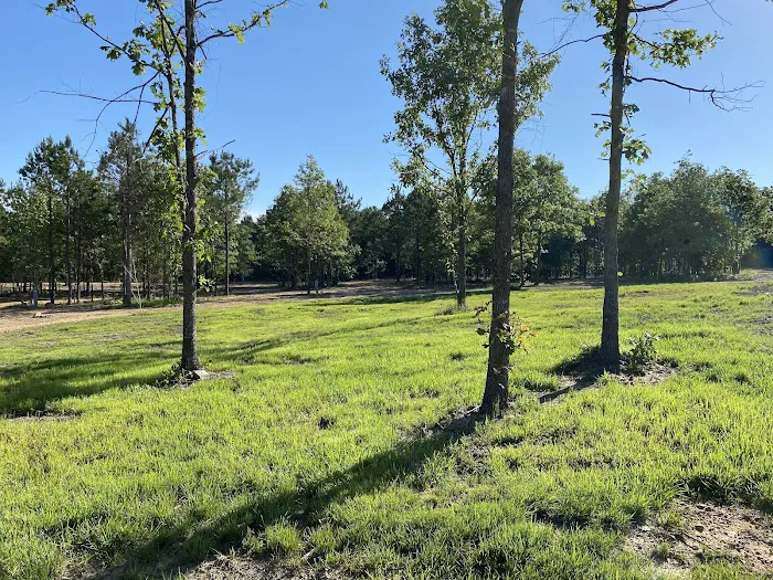 The Winding Woods RV Park Picture 2