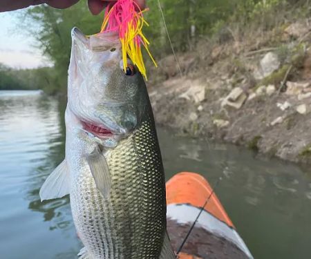 The Narrows Riverside RV Resort