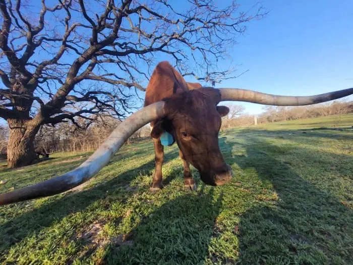 I'll Make u Famous Rv and Horse Park llc Picture 8