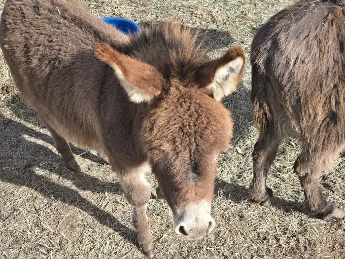 I'll Make u Famous Rv and Horse Park llc Picture 2