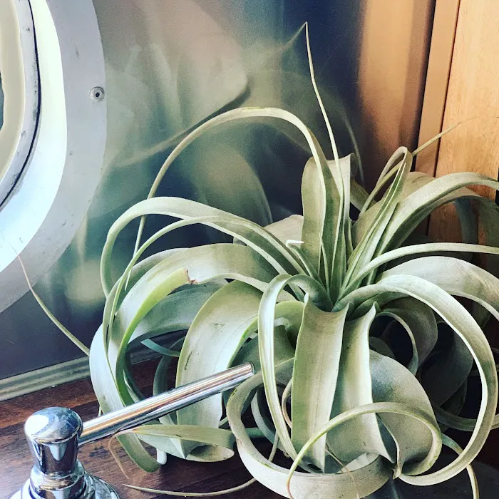 Off the Vine RV Park Picture 5