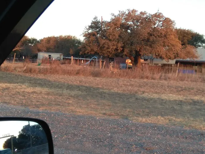 Melody Oaks Ranch Picture 5