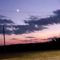 Melody Oaks Ranch ico