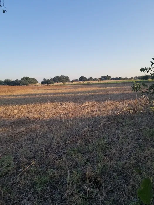 Melody Oaks Ranch Picture 7