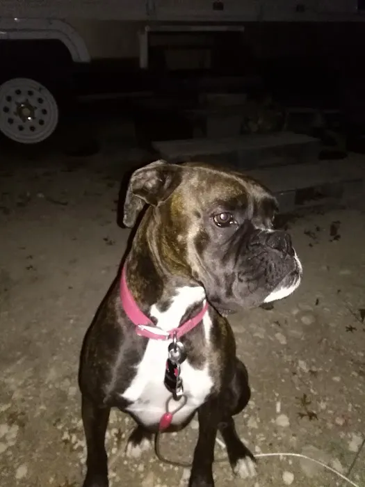 Melody Oaks Ranch Picture 3