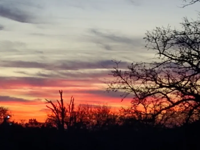 HD Ranch RV Park Picture 7