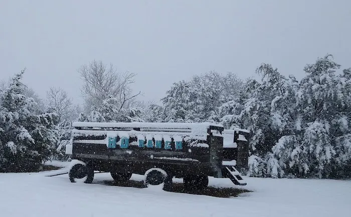 HD Ranch RV Park Picture 9