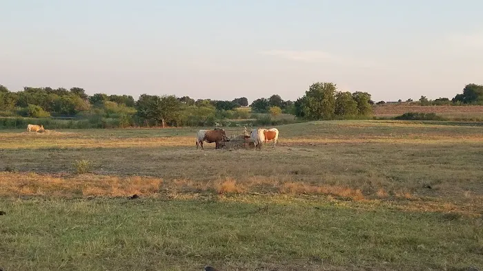 Taylor Blackland Farms RV Park Picture 8