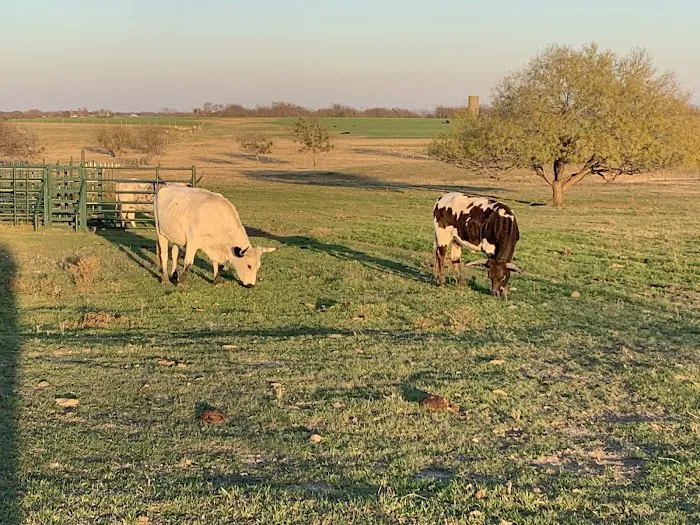 Taylor Blackland Farms RV Park Picture 6