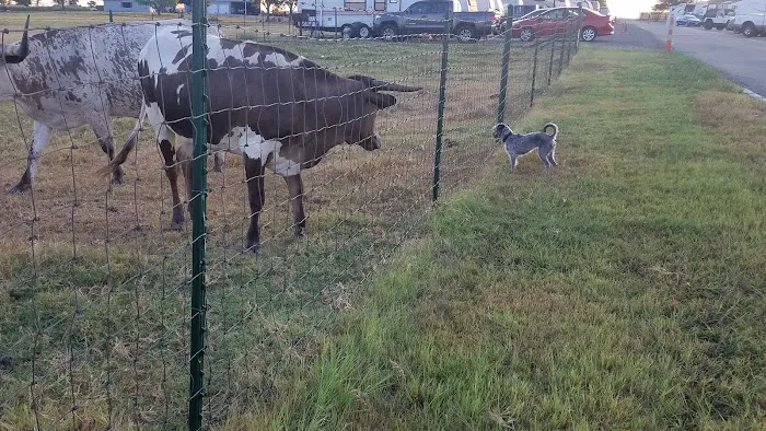 Taylor Blackland Farms RV Park Picture 5