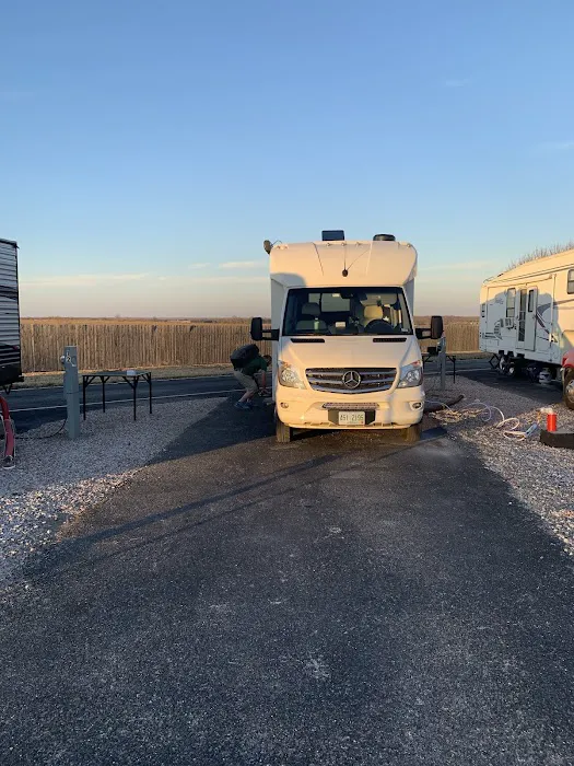 Taylor Blackland Farms RV Park Picture 4