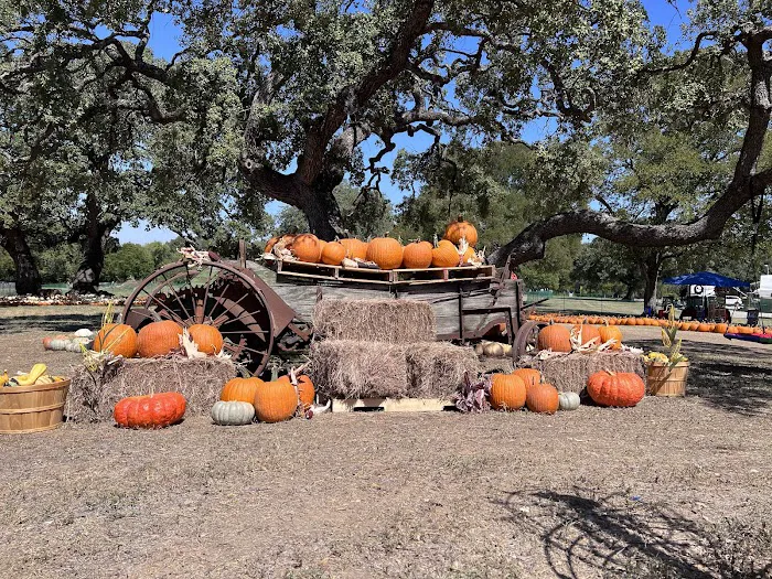 Old Settlers RV Park Picture 9