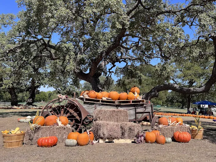 Old Settlers RV Park Picture 7