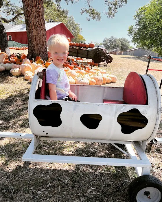 Old Settlers RV Park Picture 6