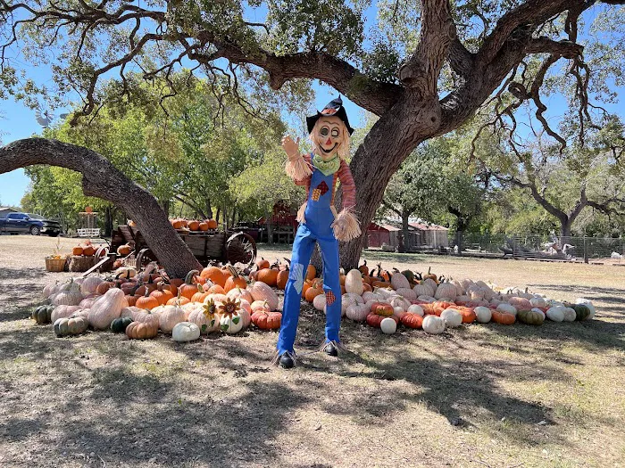 Old Settlers RV Park Picture 8