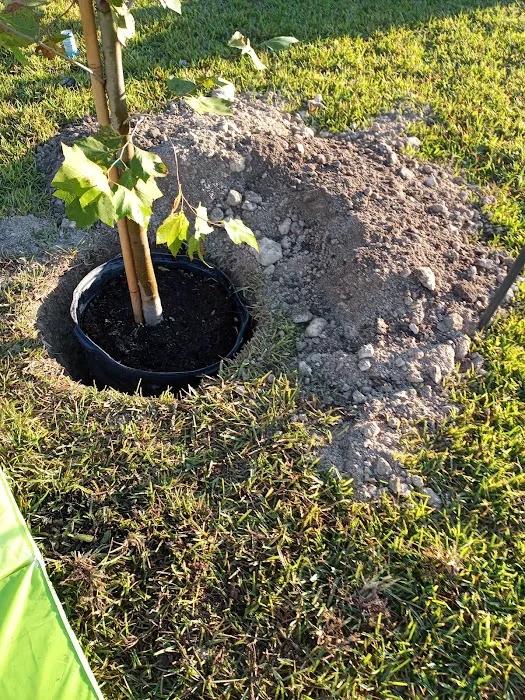 Chisholm Point Picture 3