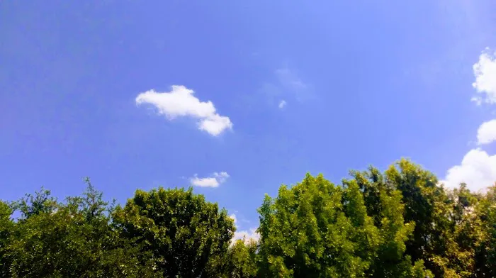 Chisholm Point Picture 5