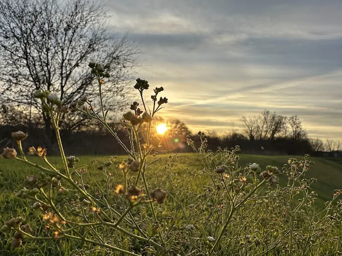 River Ranch Picture 1