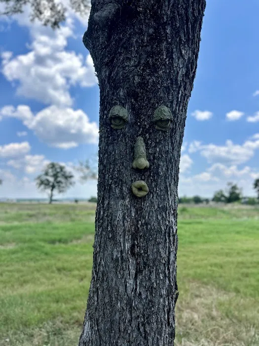 Austonia RV Resort Picture 8