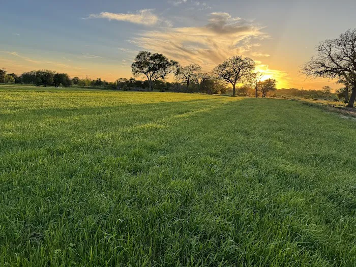 Austonia RV Resort Picture 6