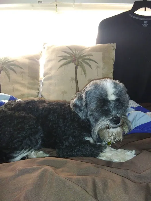 Outback RV Park Picture 4