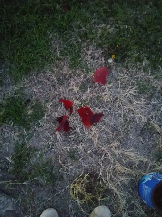 Outback RV Park Picture 5