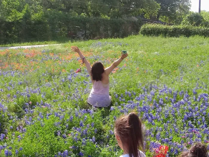 Monticello Drive Estates, Inc. Picture 3