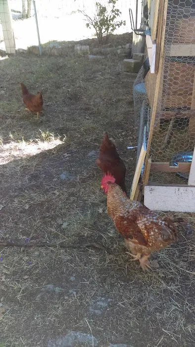 Outwest Campground & RV park Picture 7