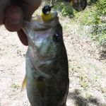 Outwest Campground & RV park